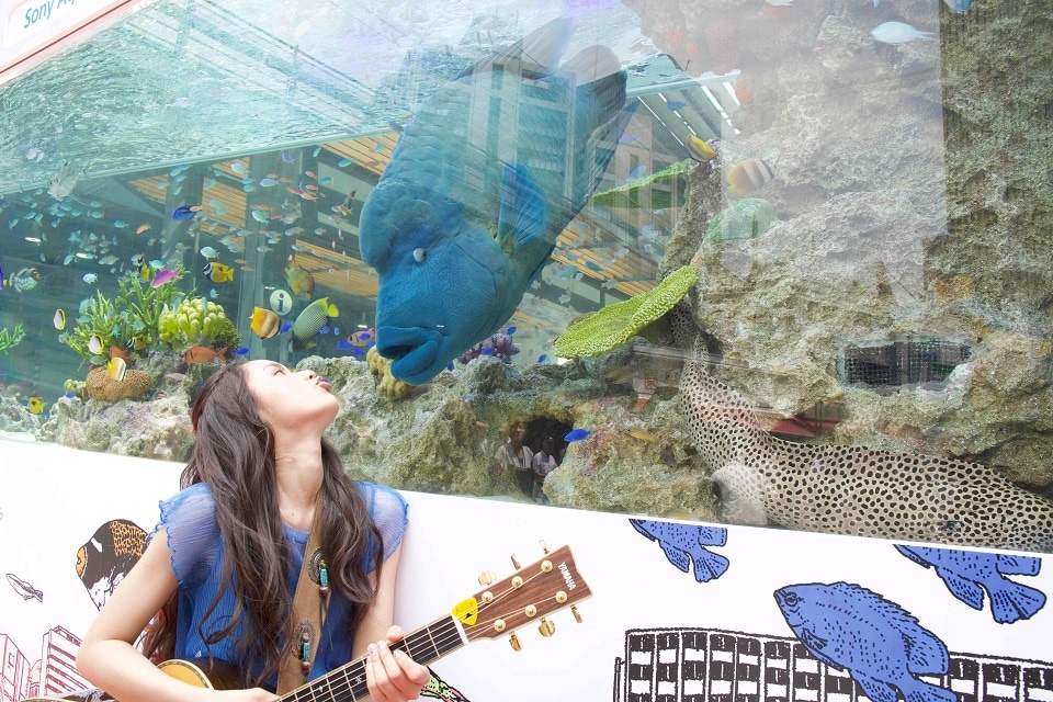 Anly、銀座で“美ら海”の魚たちと共演