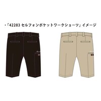 「Dickies×Less Than TV 42283 13インチマルチポケットワークショーツ」見本