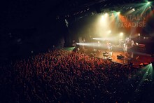 KEYTALK「KEYTALK爆裂疾風ツアー2017 ～みんなの街でパラリラパパパラダイス～」大阪・Zepp Osaka Bayside公演の様子。（撮影：後藤壮太郎）