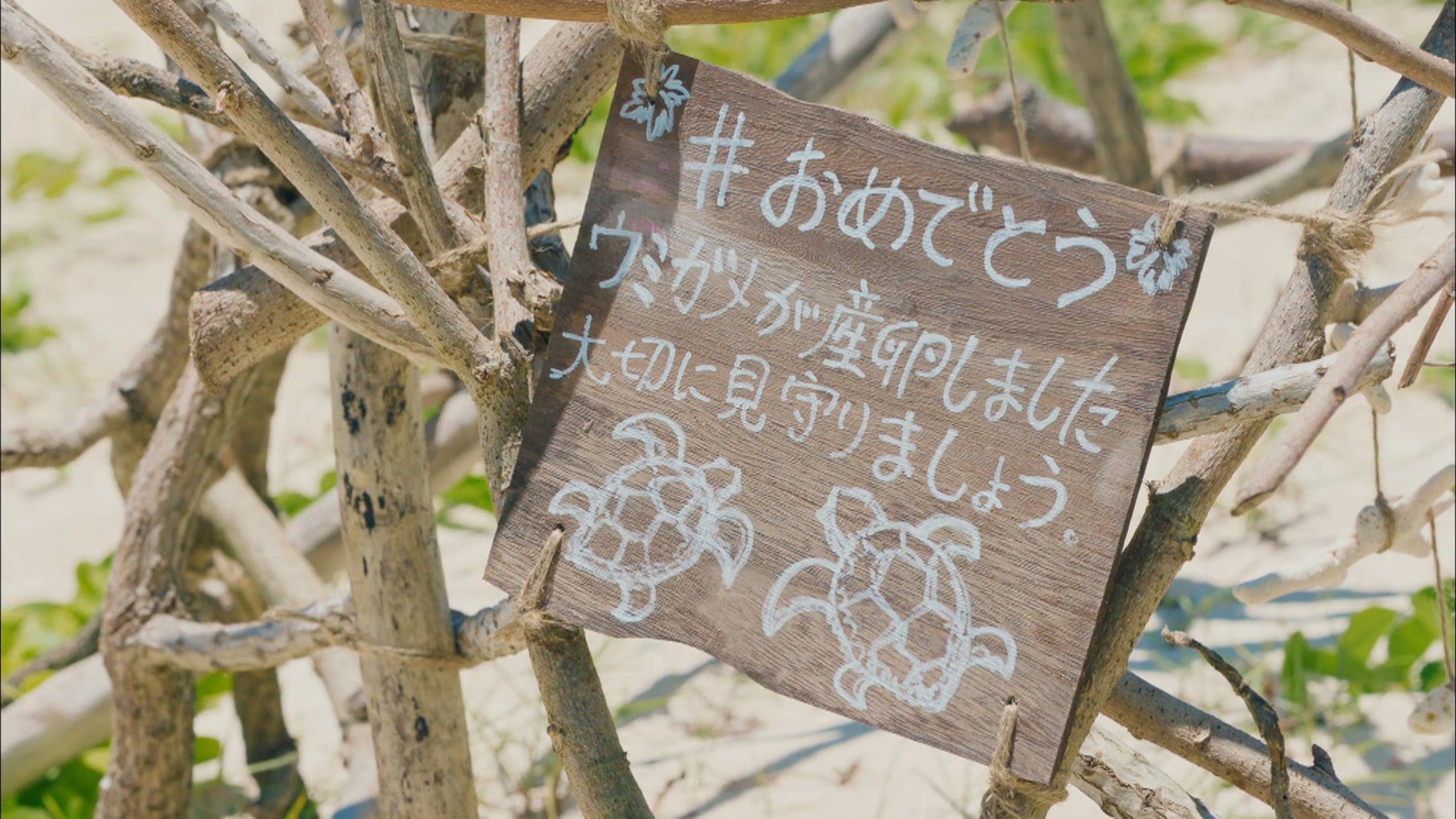 AKB48「#好きなんだ」ミュージックビデオのワンシーン。