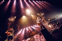 sumika「Little crown #4」東京・新木場STUDIO COAST公演の様子。（撮影：後藤壮太郎）