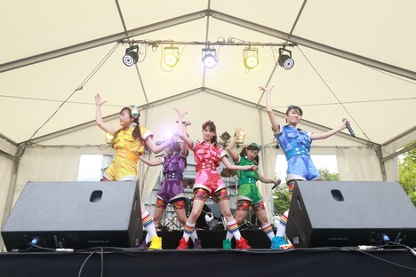 チームしゃちほこ