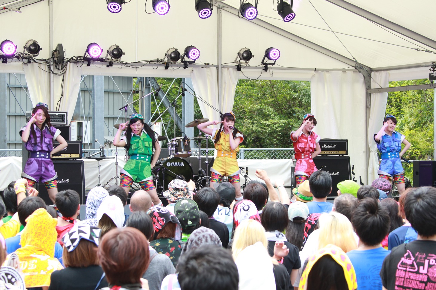 チームしゃちほこ