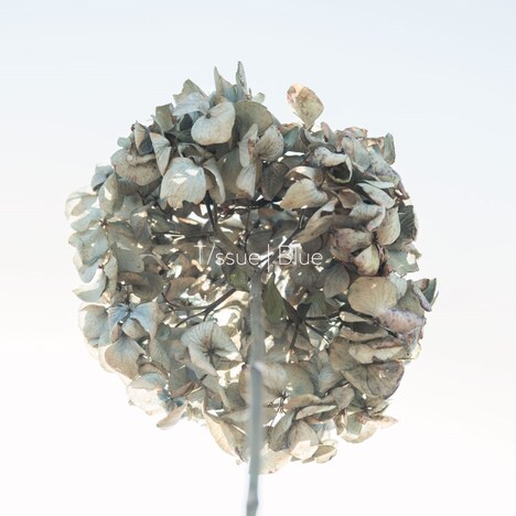 T/ssue「Blue」ジャケット