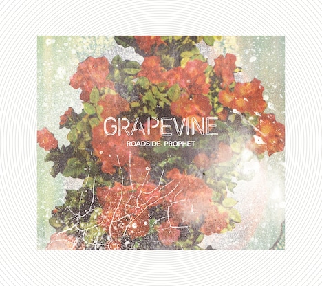 GRAPEVINE「ROADSIDE PROPHET」20th Anniversary Limited Editionジャケット