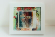 GRAPEVINE「ROADSIDE PROPHET」20th Anniversary Limited Editionピクチャーフレーム仕様展開写真
