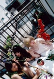 花園distance