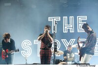 The Strypes