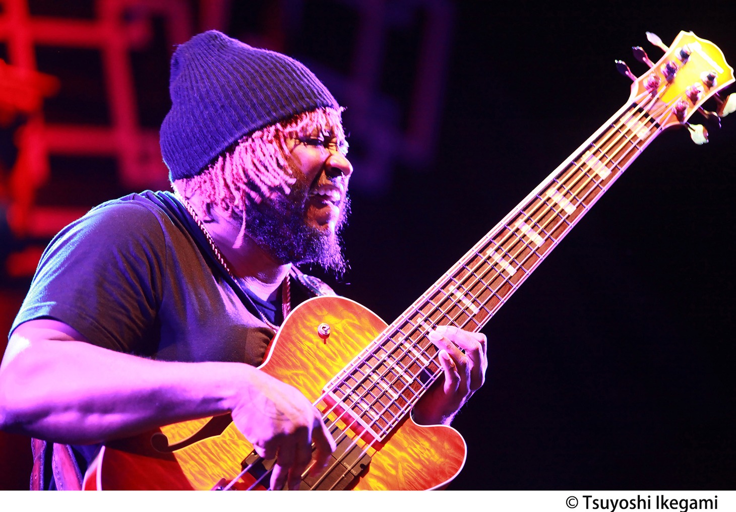 サンダーキャット