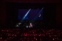 96猫（提供：Stars on Planet 2017）