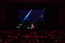 96猫（提供：Stars on Planet 2017）