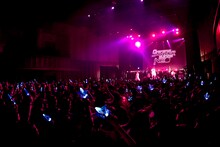 アンティック-珈琲店-「SUMMER DIVE」の様子。