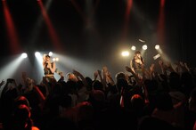 The Idol Formerly Known As LADYBABYのライブの様子。（撮影：岡本麻衣）