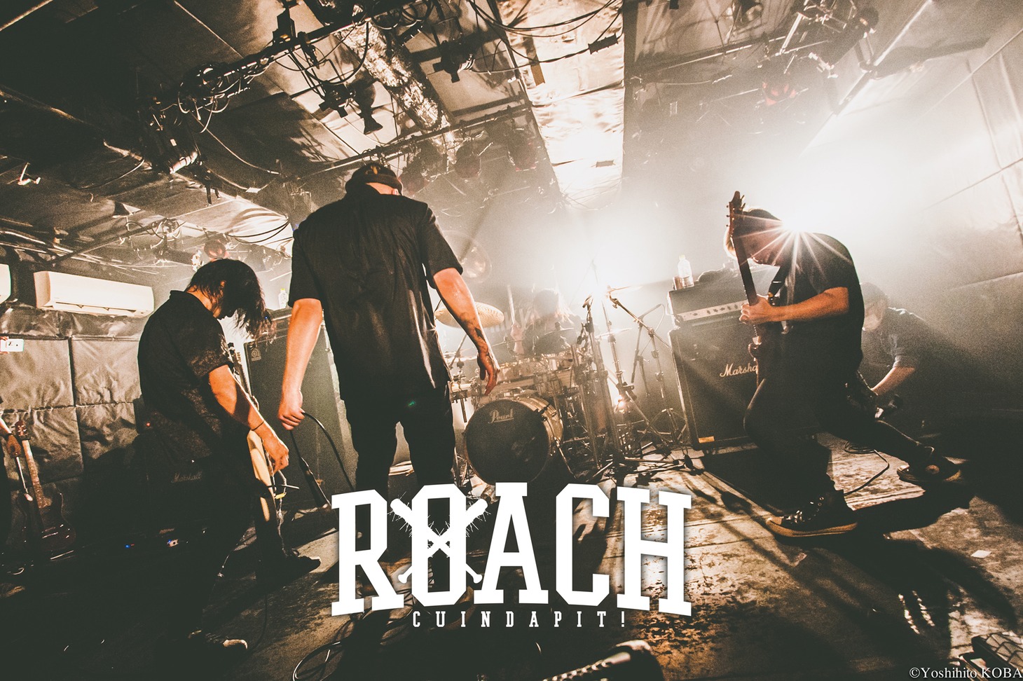 ROACH