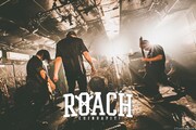 ROACH