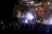 bonobos（Photo by Yumi Ikenaga）