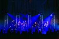 bonobos（Photo by Yuico Taiya）