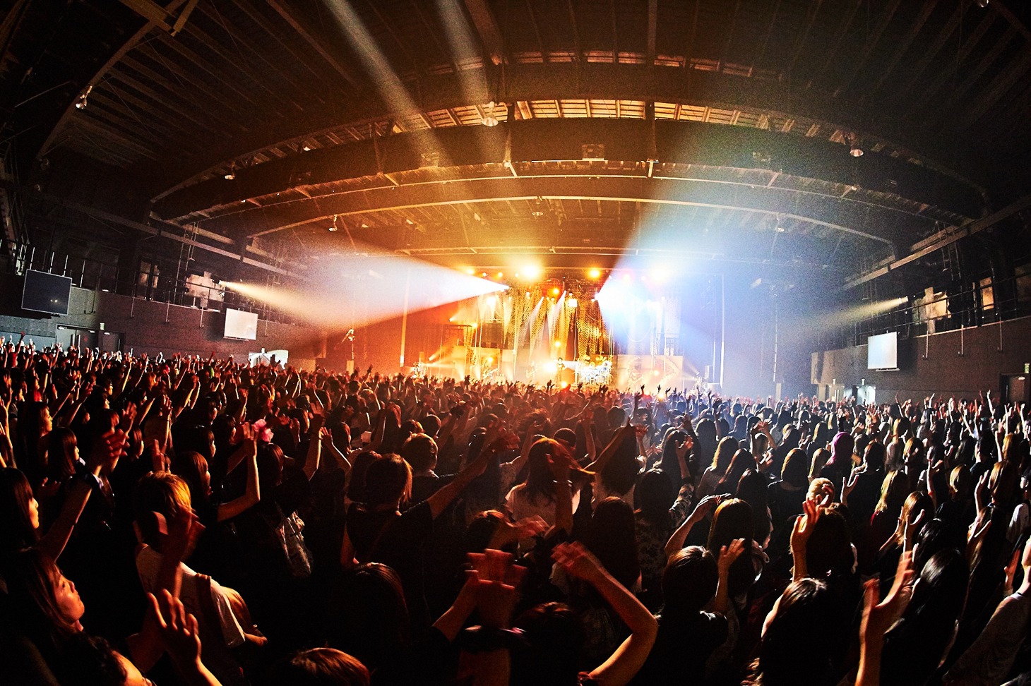 己龍のライブの様子。