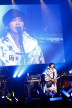 DISH//のライブの様子。（写真提供：Sony Music Records）