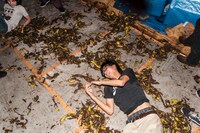 2015年に東京・BUSHBASHで開催された「MOST DANGEROUS MOSH PIT」の様子。