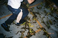 2015年に東京・BUSHBASHで開催された「MOST DANGEROUS MOSH PIT」の様子。