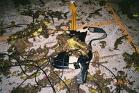 バナナの皮とギター。