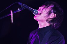 PELICAN FANCLUB（撮影：河本悠貴）