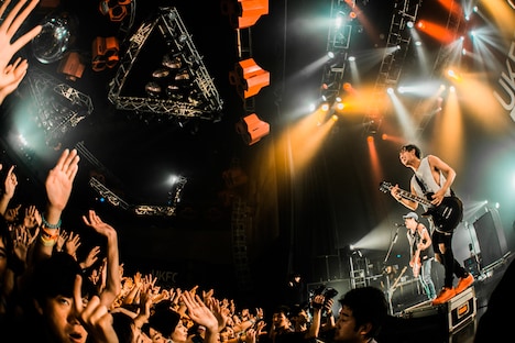 TOTALFAT（撮影：ヤマダマサヒロ）