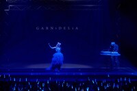 GARNiDELiA