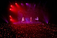 EGOISTとGARNiDELiAのコラボライブの様子。