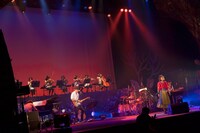 川嶋あい「Ai Kawashima 15th Anniversary Concert ～Timber Magic～」の様子。