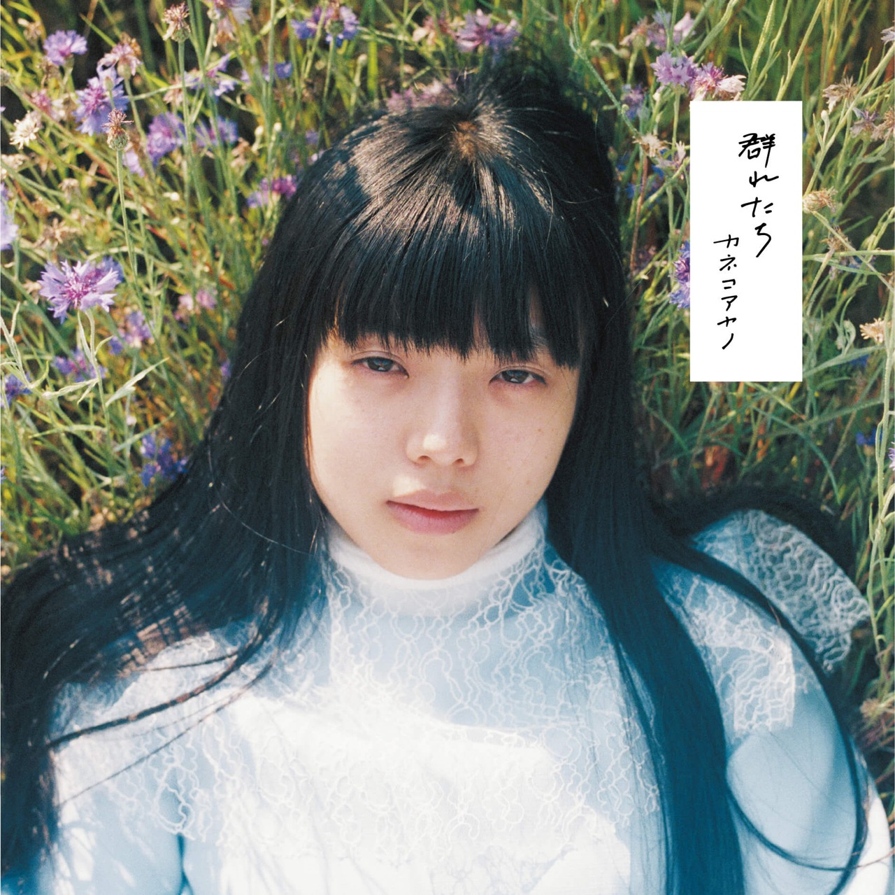 カネコアヤノ「群れたち」ジャケット