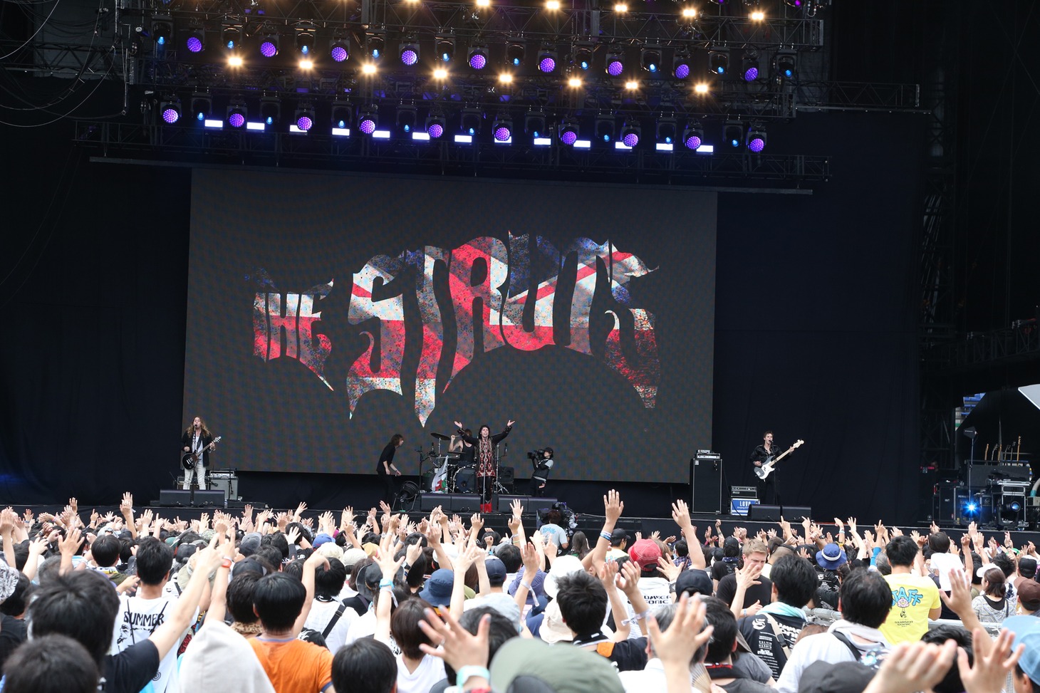 The Struts