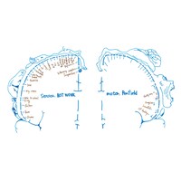 NOT WONK「Penfield」ジャケット