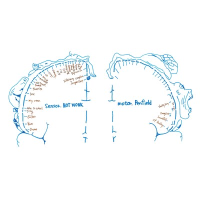 NOT WONK「Penfield」ジャケット