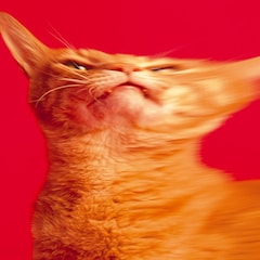 草野マサムネが歴代ジャケを語る アザーカット満載の スピッツのデザイン 音楽ナタリー