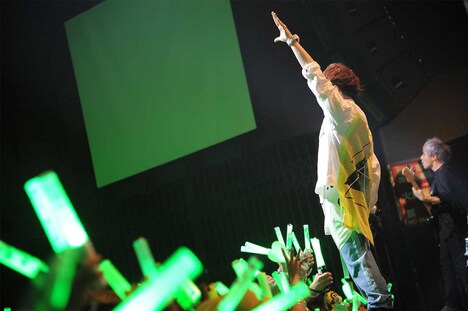 うらたぬき（撮影：岡本麻衣）