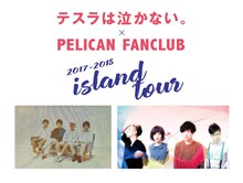 「テスラは泣かない。×PELICAN FANCLUB『Island Tour 2017-2018』」告知用画像
