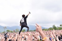 キュウソネコカミ（撮影：古溪一道）