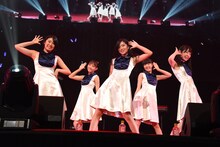 Dorothy Little Happy