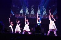 Dorothy Little Happy