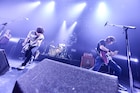 the pillows恒例年越しライブにnoodles、シュリスペイロフ、THE BOHEMIANS