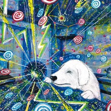 グッドモーニングアメリカ「502号室のシリウス」通常盤ジャケット