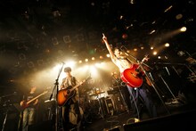 さくらしめじ（撮影：ハヤシサトル）