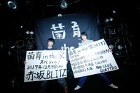 さくらしめじ（撮影：ハヤシサトル）