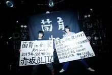 さくらしめじ（撮影：ハヤシサトル）