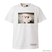 モコゾウ フォトTシャツ