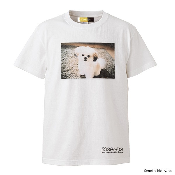 モコゾウ フォトTシャツ