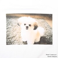 モコゾウ フォトTシャツ