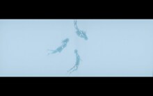 Perfume「If you wanna」MVのワンシーン。